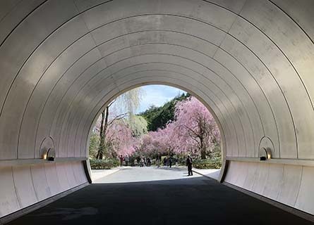 Miho Museum